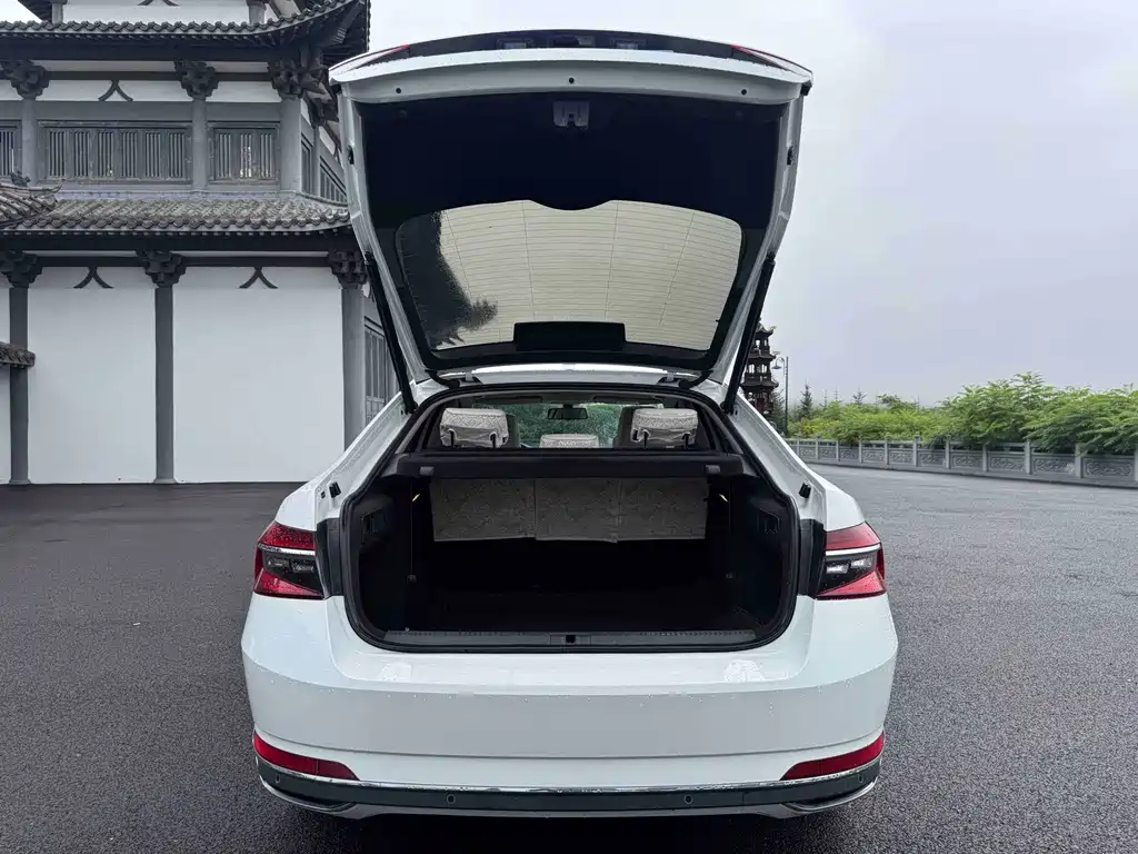 Skoda Speedy 2023 — фото 20