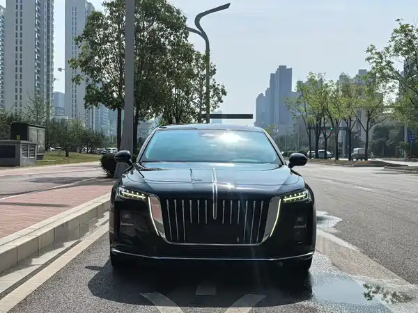 Hongqi H5 2024