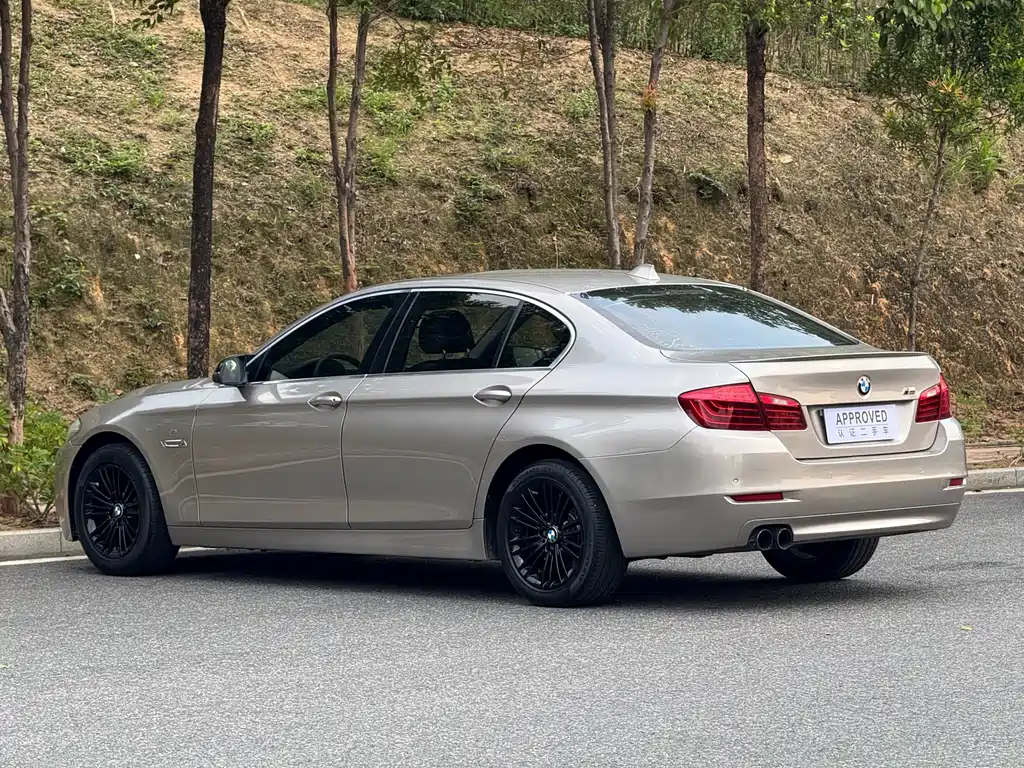 BMW 5 Series 2014 — фото 6