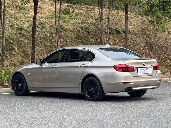 BMW 5 Series 2014