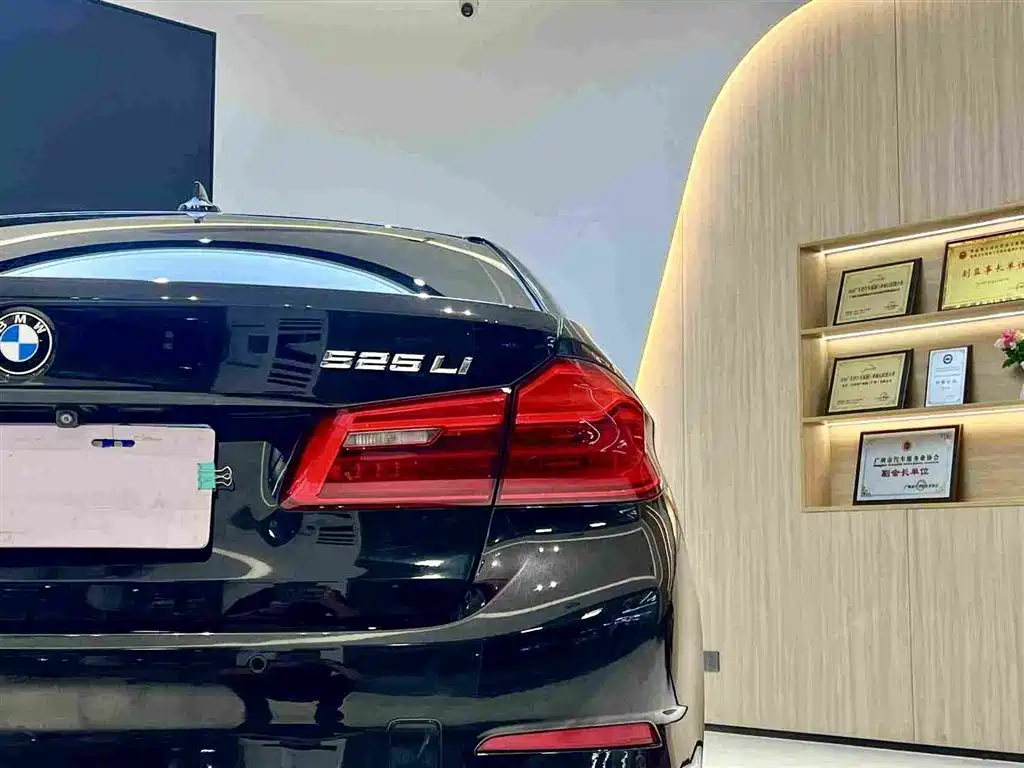 BMW 5 Series 2019 — фото 8