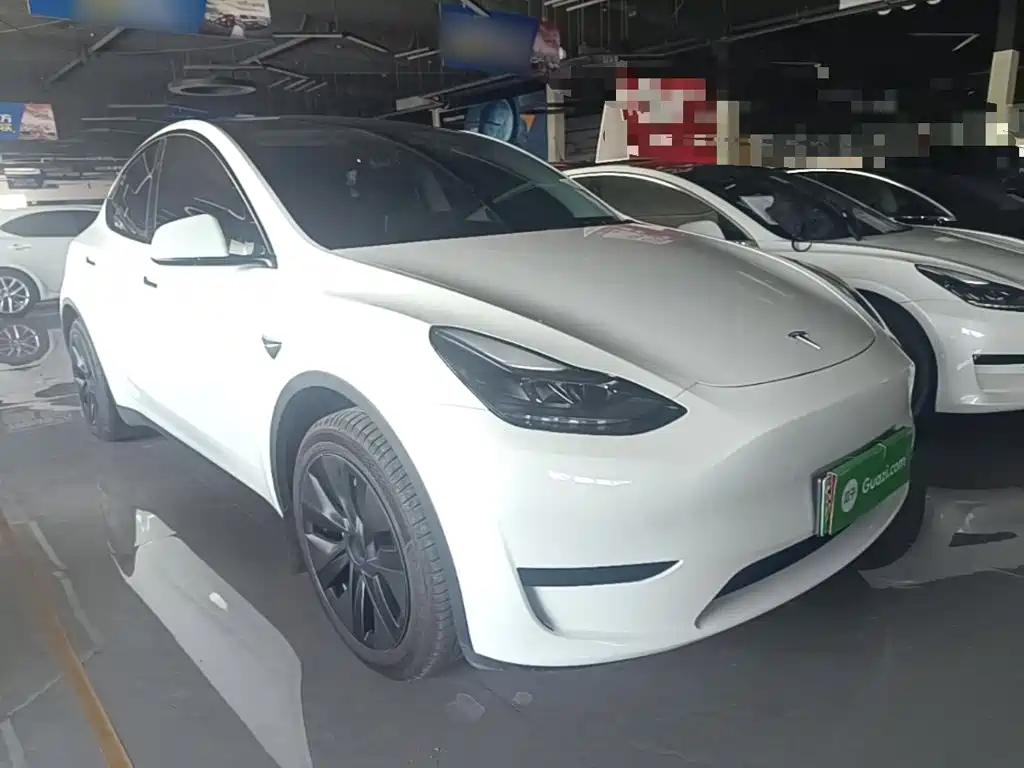 Tesla Model Y 2024 — фото 4