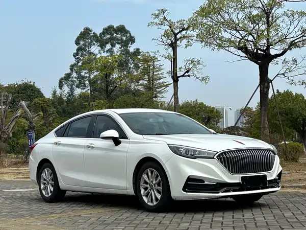Hongqi H5 2020