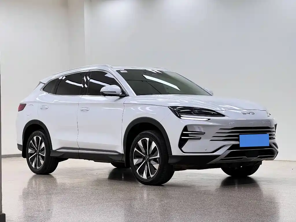 BYD PLUS New Energy 2024 — фото 3