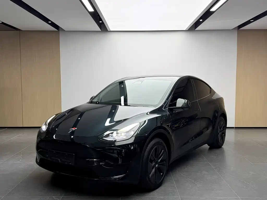 Tesla Model Y 2023 — фото 1