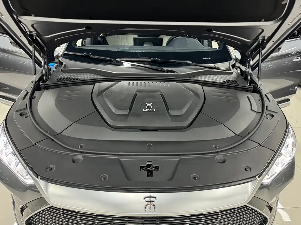 BYD PLUS New Energy 2023 — фото 20