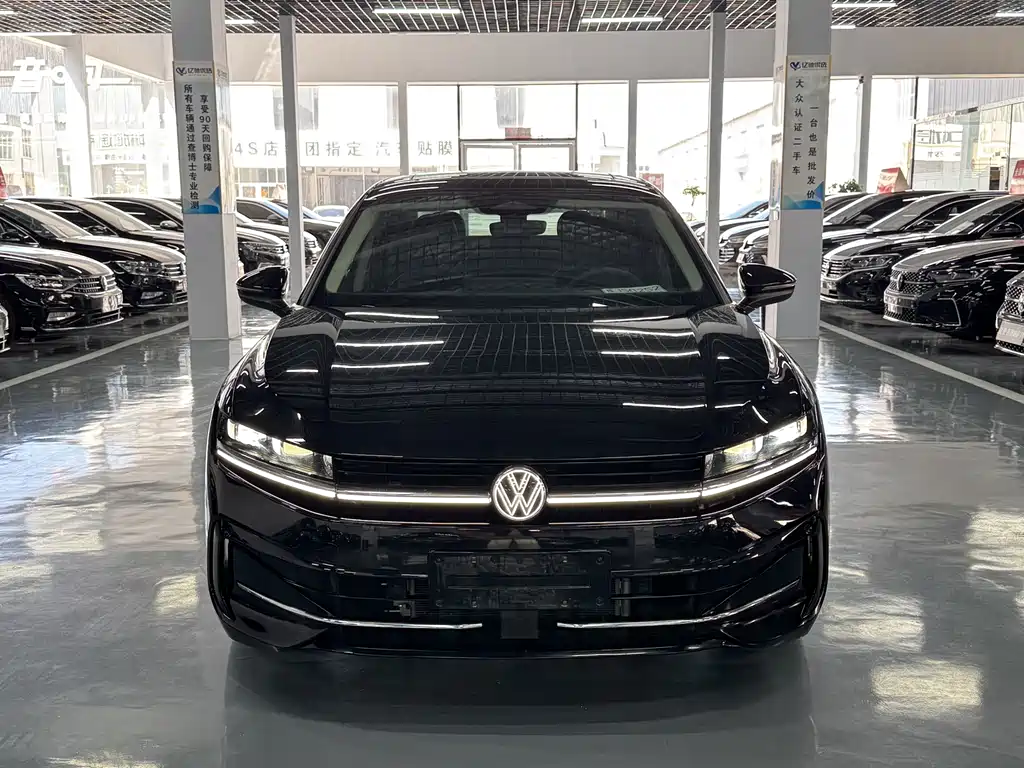 Volkswagen Magotan 2024