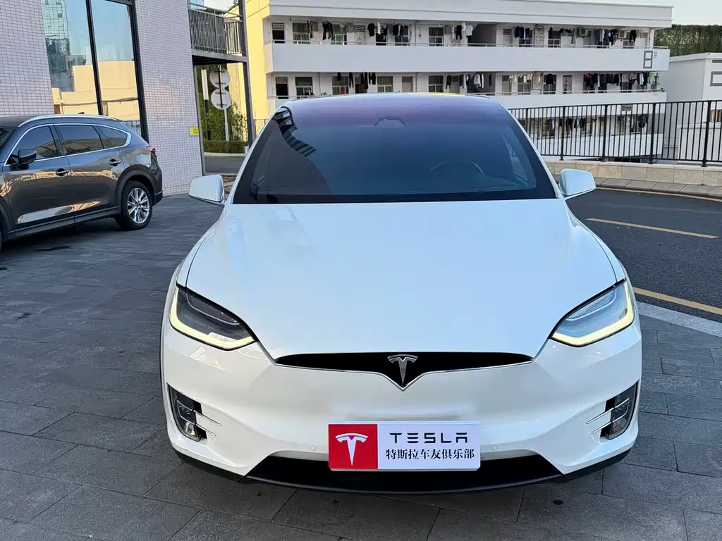 Tesla Model X 2020 — фото 2