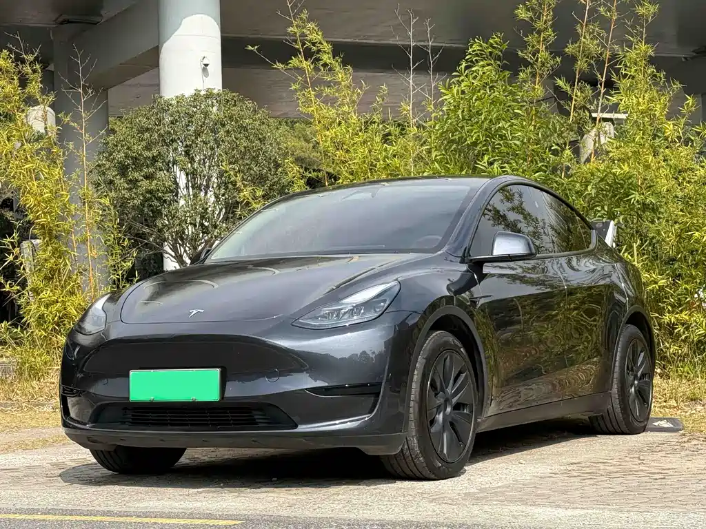 Tesla Model Y 2024 — фото 1