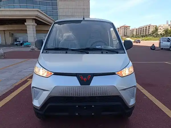 Wuling EV50 2021