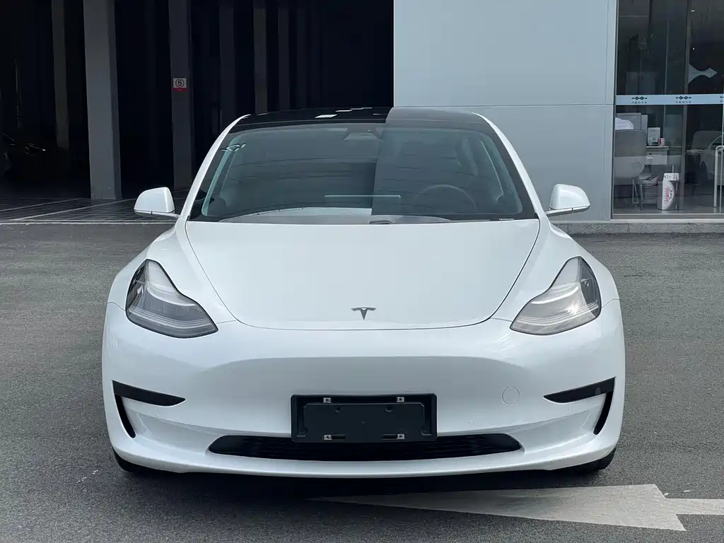 Tesla Model 3 2019