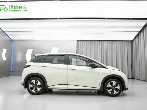 BYD Dolphin 2024