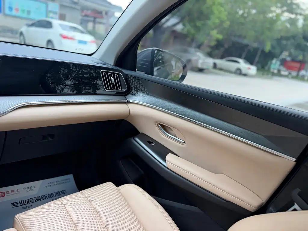 BYD Song Pro New Energy 2024 — фото 18