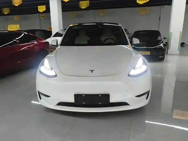 Tesla Model Y 2021