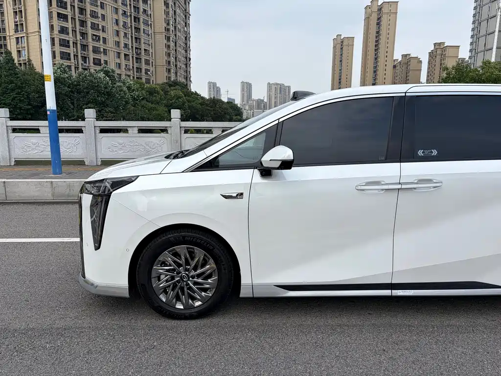 GAC Motor Xiangwang M8 2025