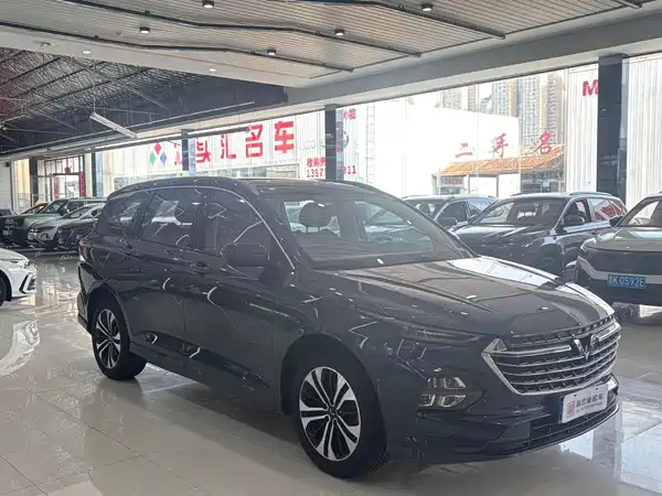 Wuling Victory 2022
