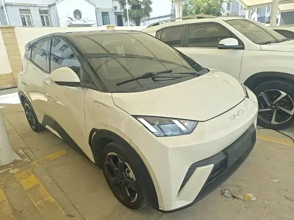 BYD Seagull 2024