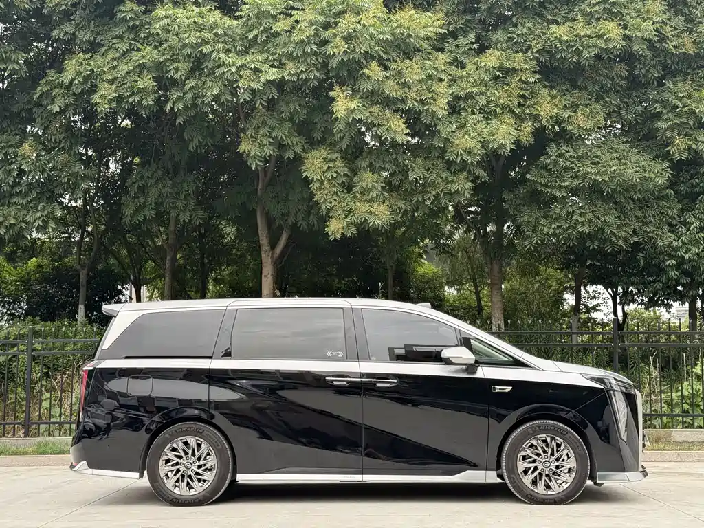 GAC Motor Xiangwang M8 2025 — фото 4