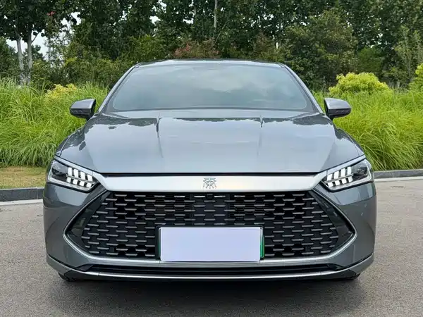 BYD Qin PLUS 2024