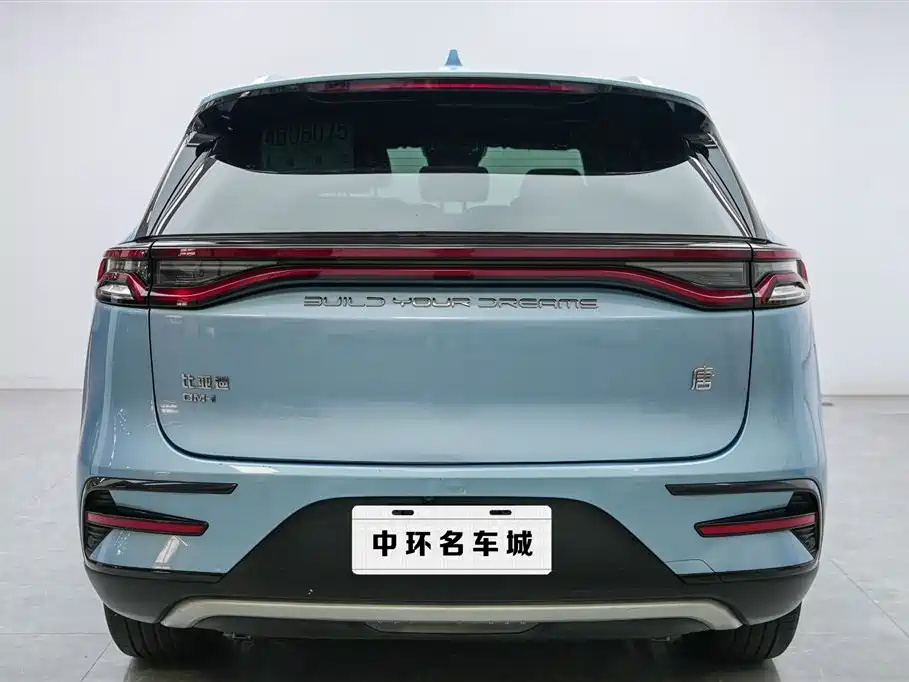 BYD Tang New Energy 2024 — фото 16