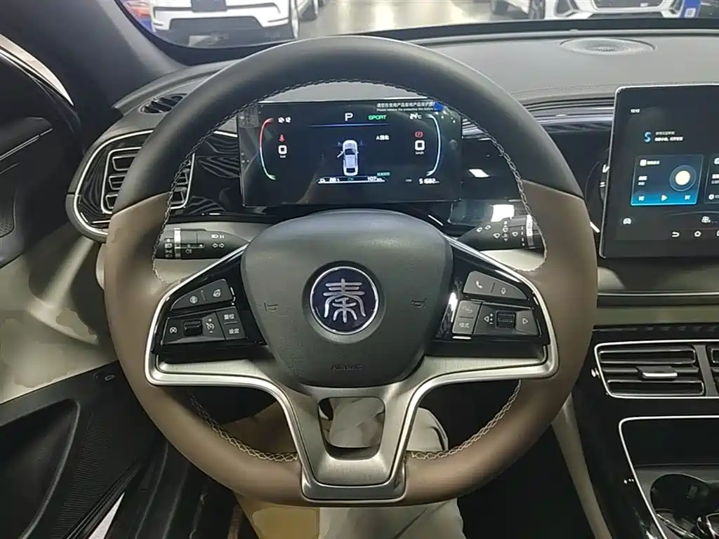 BYD Qin PLUS 2023 — фото 11