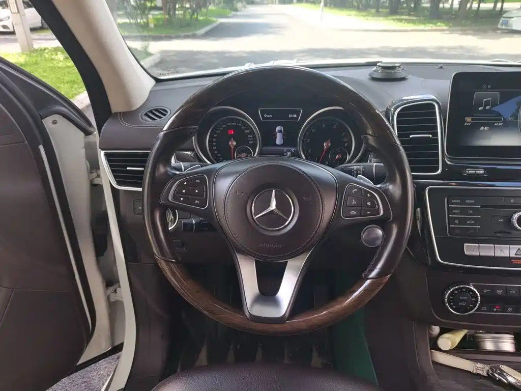Mercedes-Benz GLS 2017 — фото 6