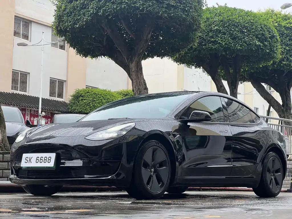 Tesla Model 3 2022