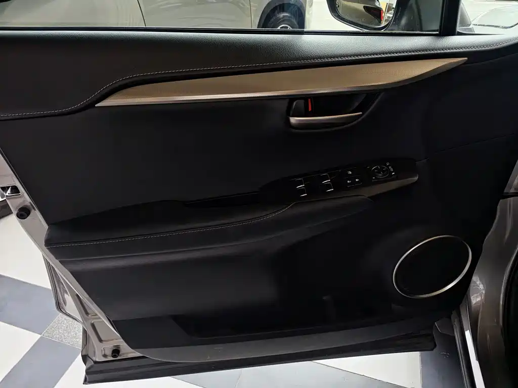 Lexus NX 2021 — фото 10