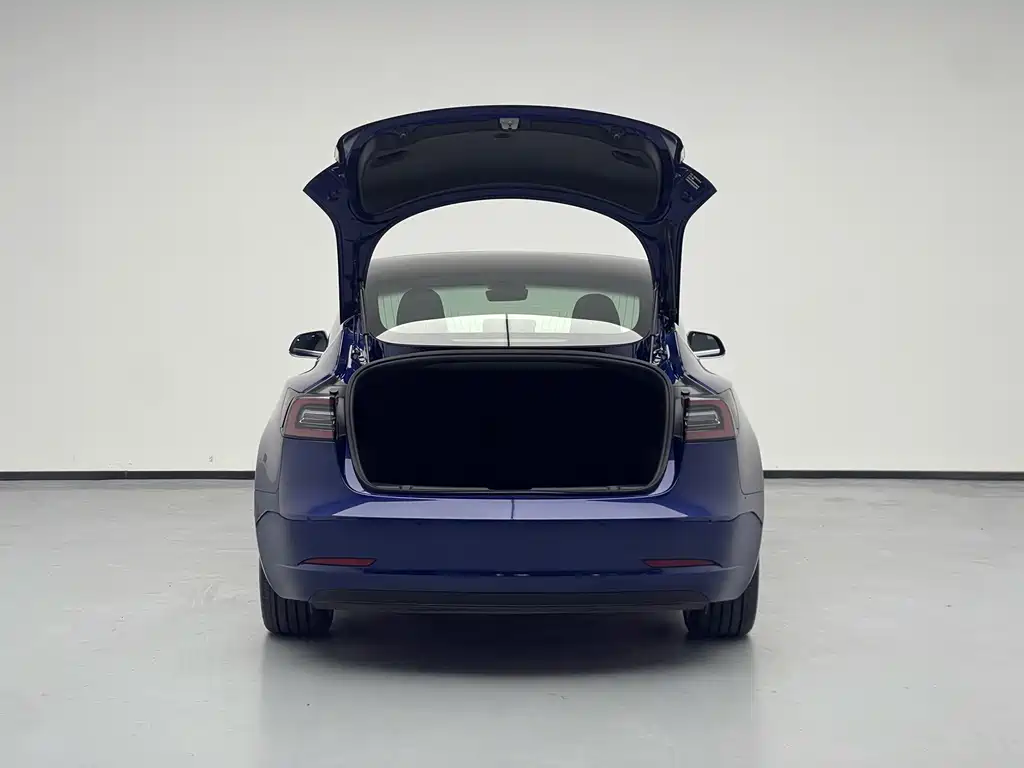 Tesla Model 3 2020 — фото 15