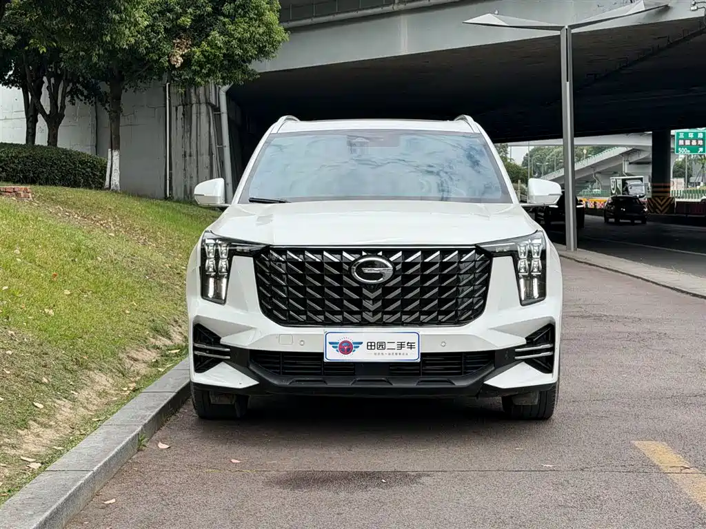 GAC Motor Trumpchi GS8 2024 — фото 2