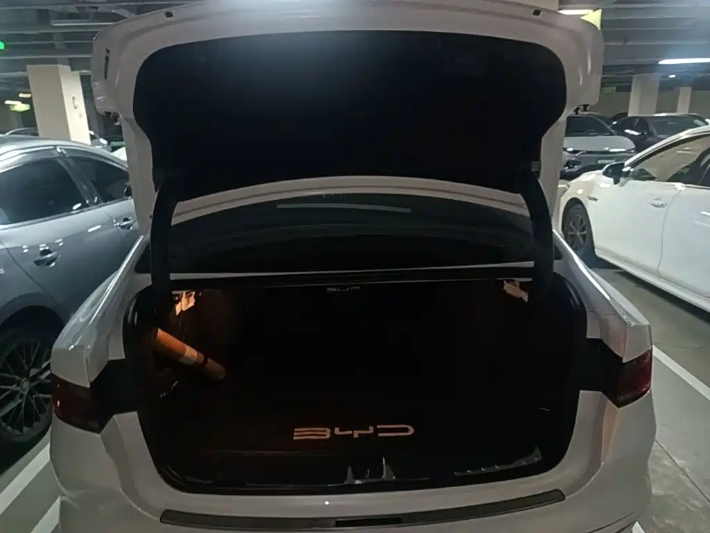 BYD Qin PLUS 2025 — фото 19
