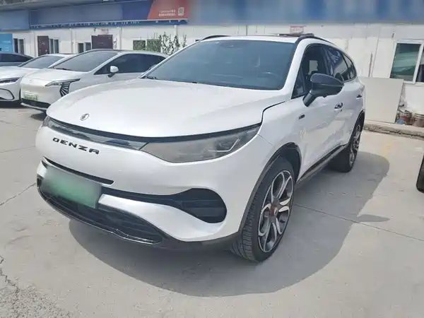 Denza X 2020