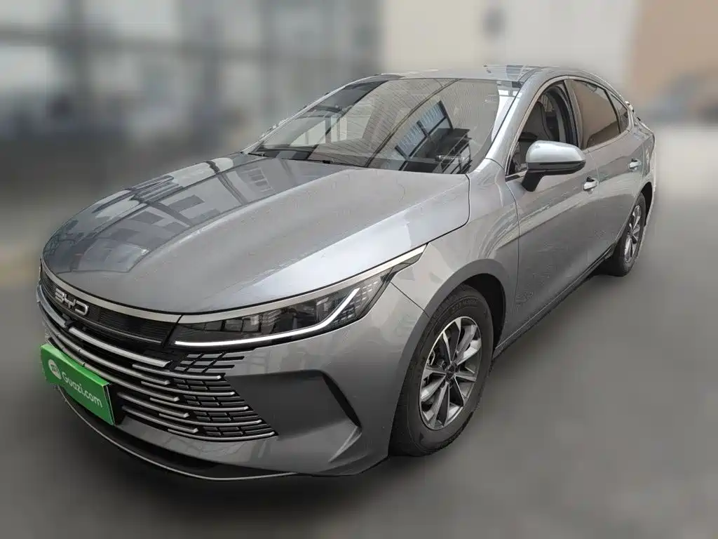 BYD Destroyer 05 2024 — фото 1