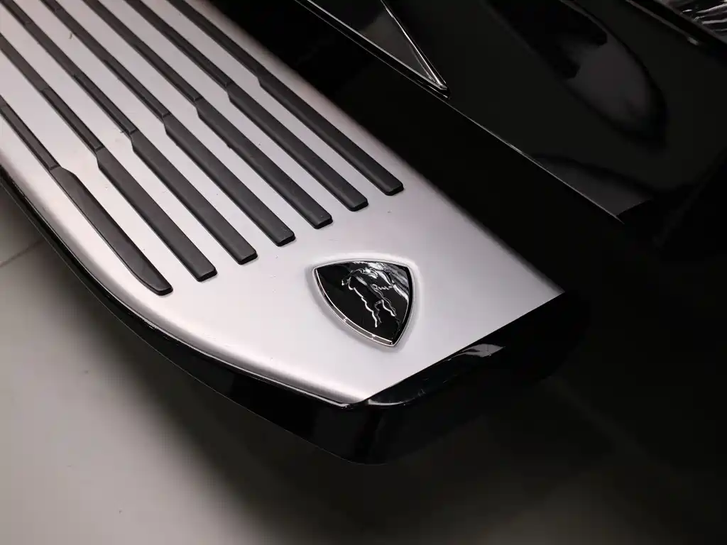 Carlsson — фото 13