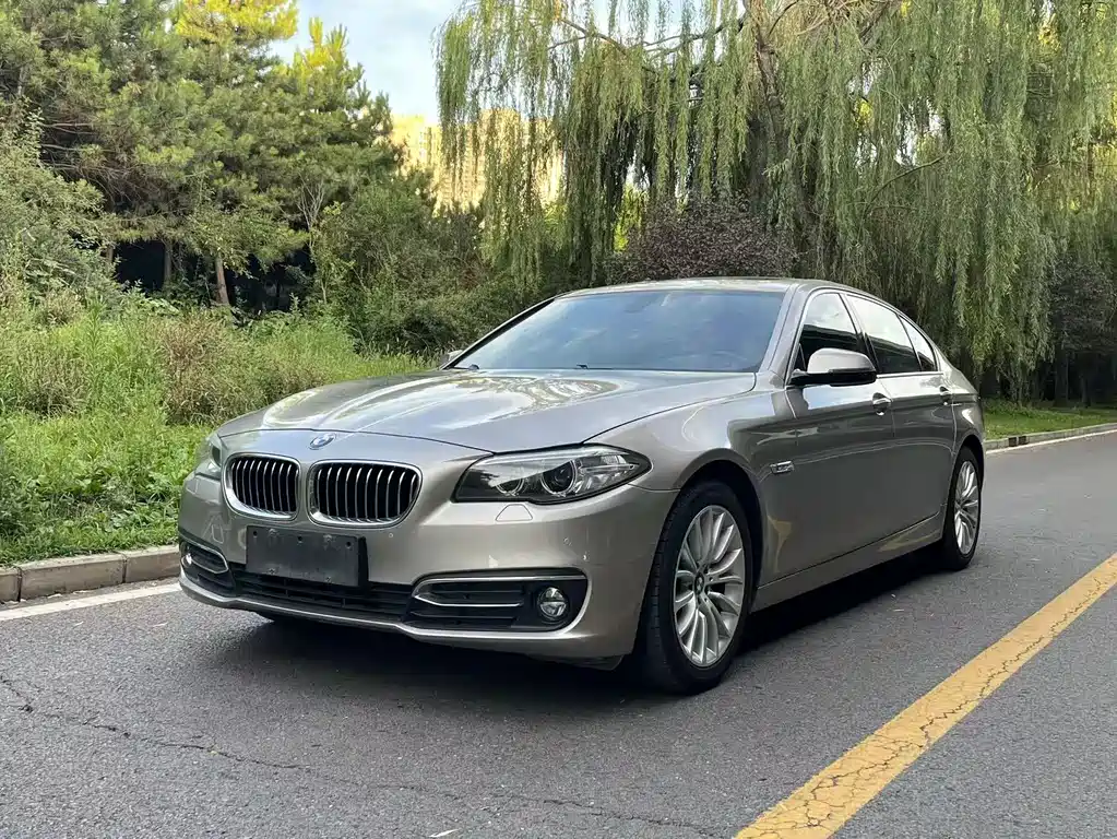 BMW 5 Series 2017