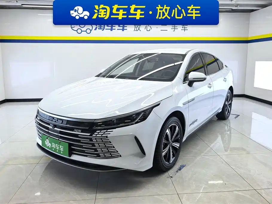 BYD Destroyer 05 2024