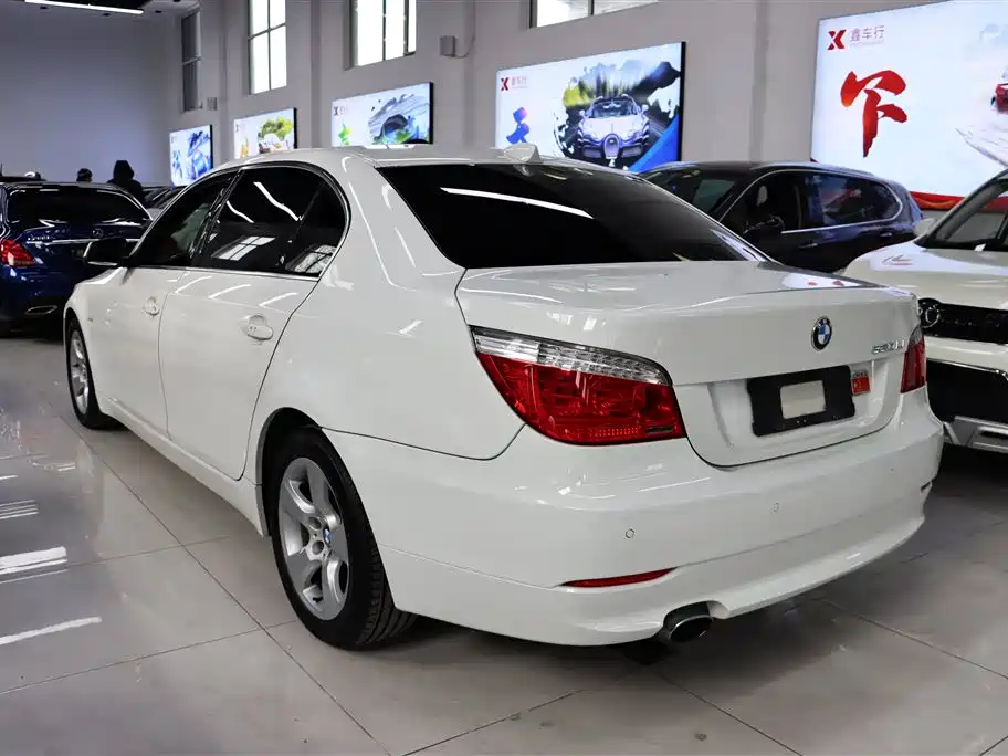 BMW 5 Series 2010