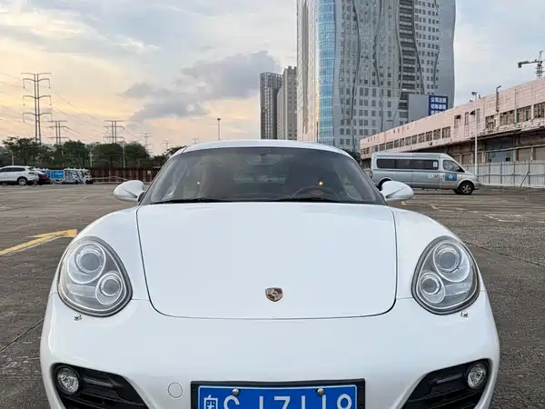 Porsche Cayman 2010