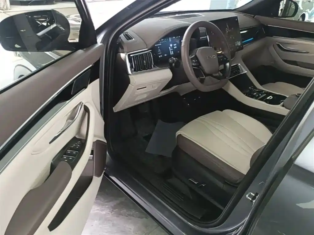 BYD PLUS New Energy 2025 — фото 16