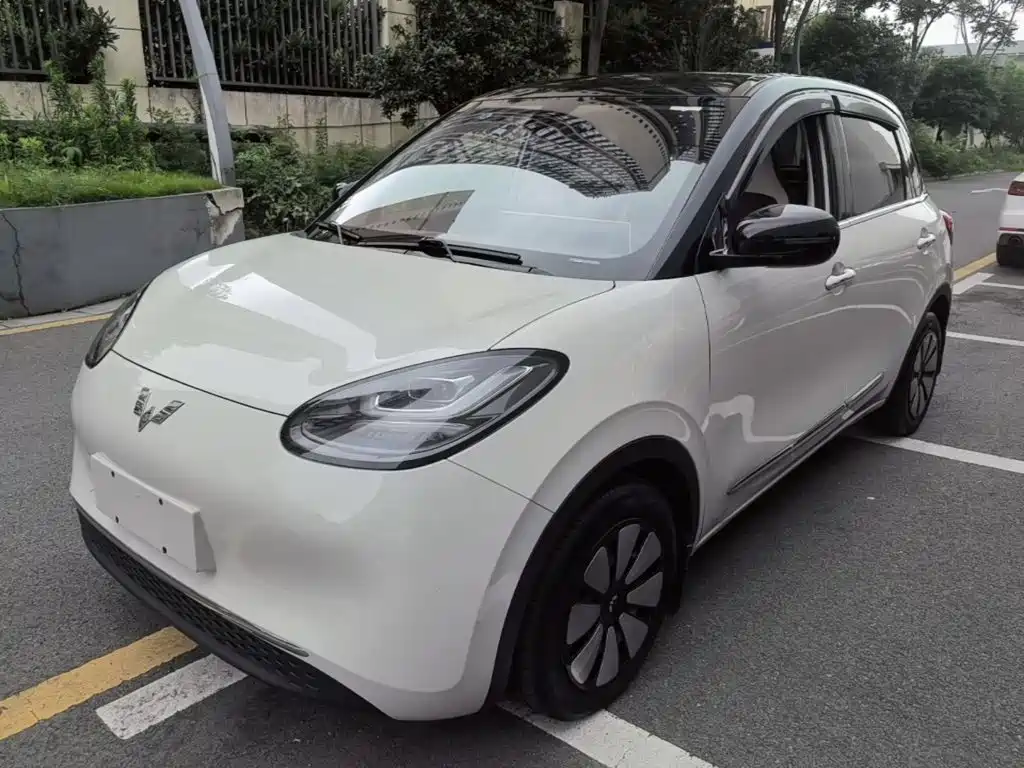 Wuling Bingo 2024