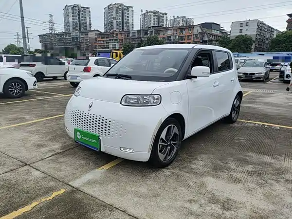 Ora White Cat 2021