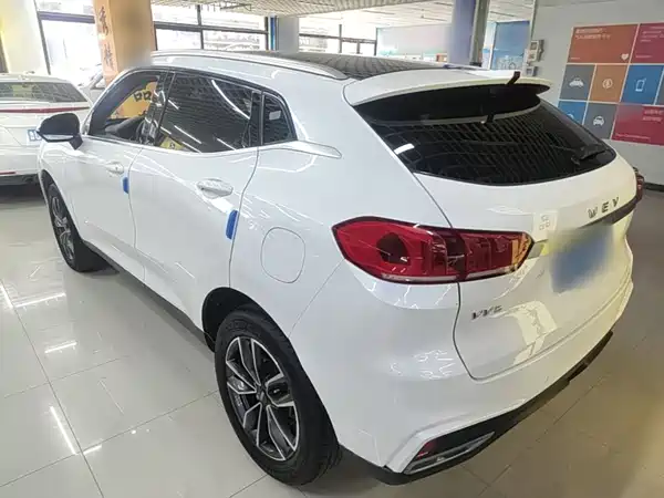 Wey VV5 2020
