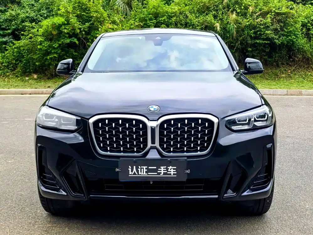 BMW X4 2022