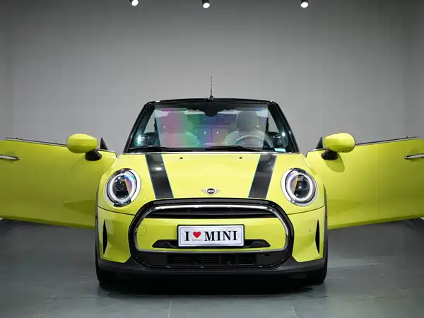 MINI MINI 2022