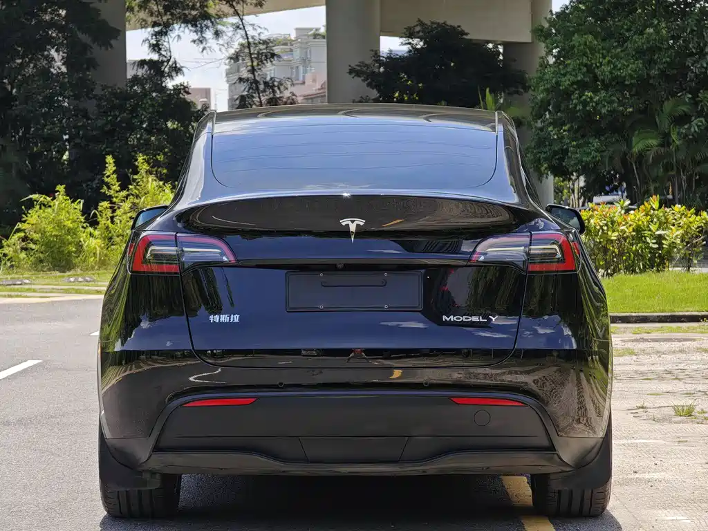 Tesla Model Y 2023 — фото 6