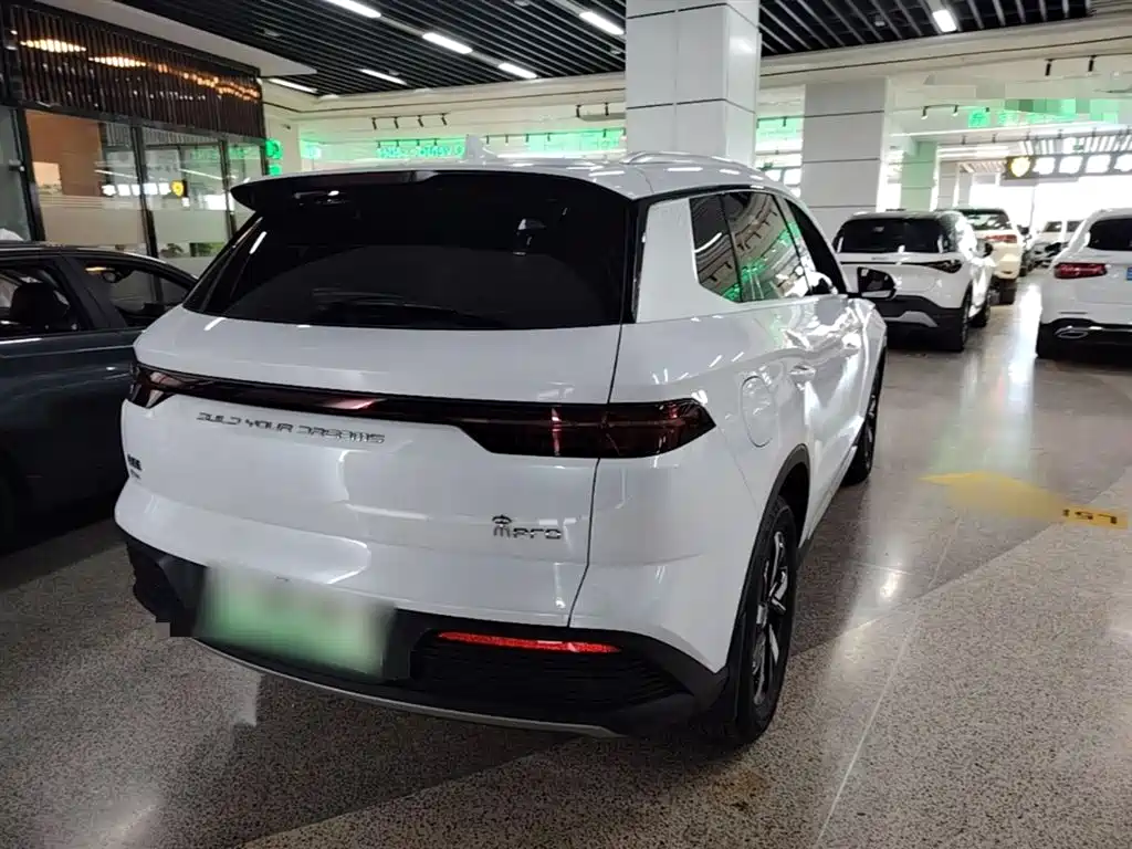 BYD Pro New Energy 2023 — фото 7