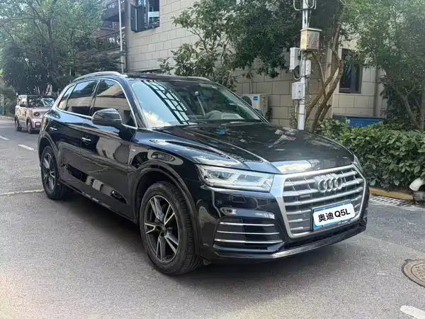 Audi Q5L 2019