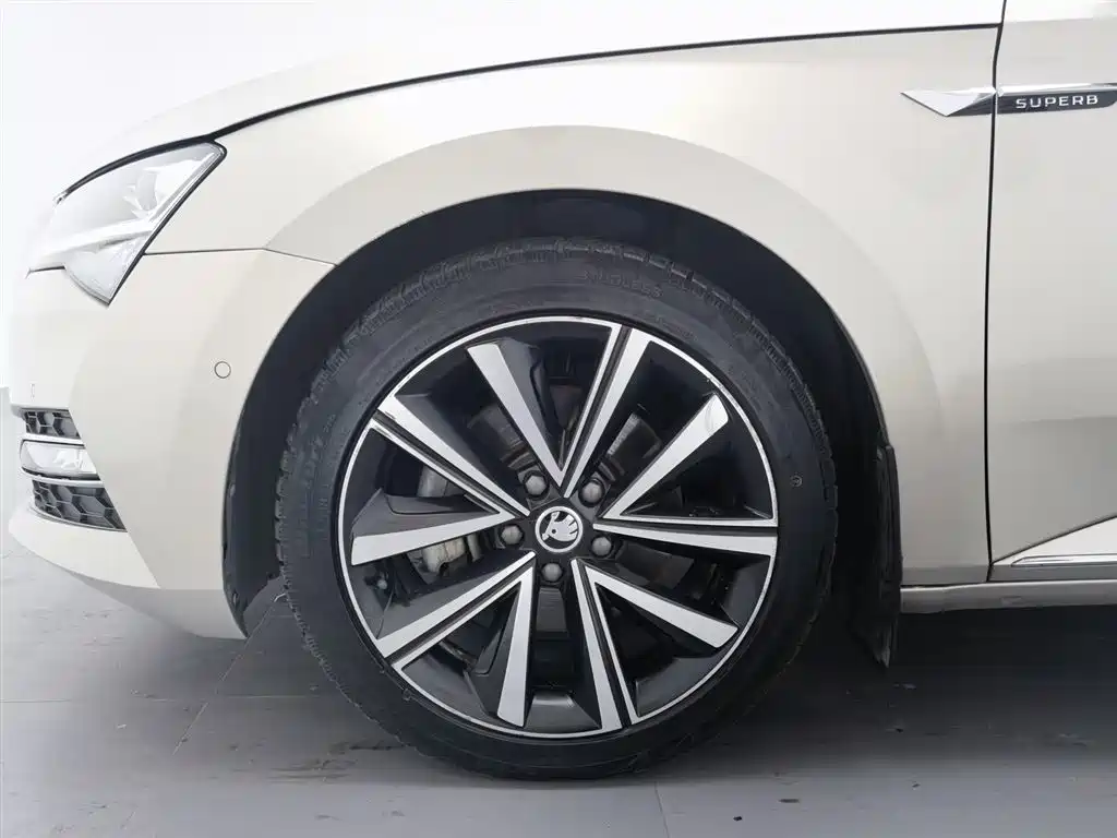 Skoda Speedy 2021 — фото 17