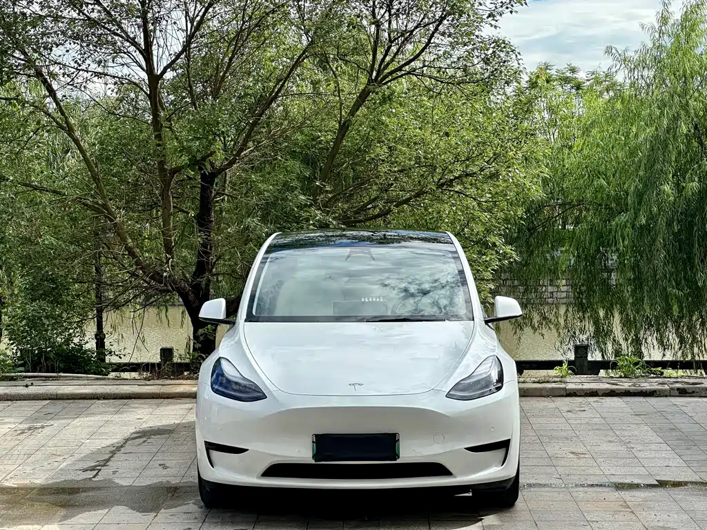Tesla Model Y 2023 — фото 2