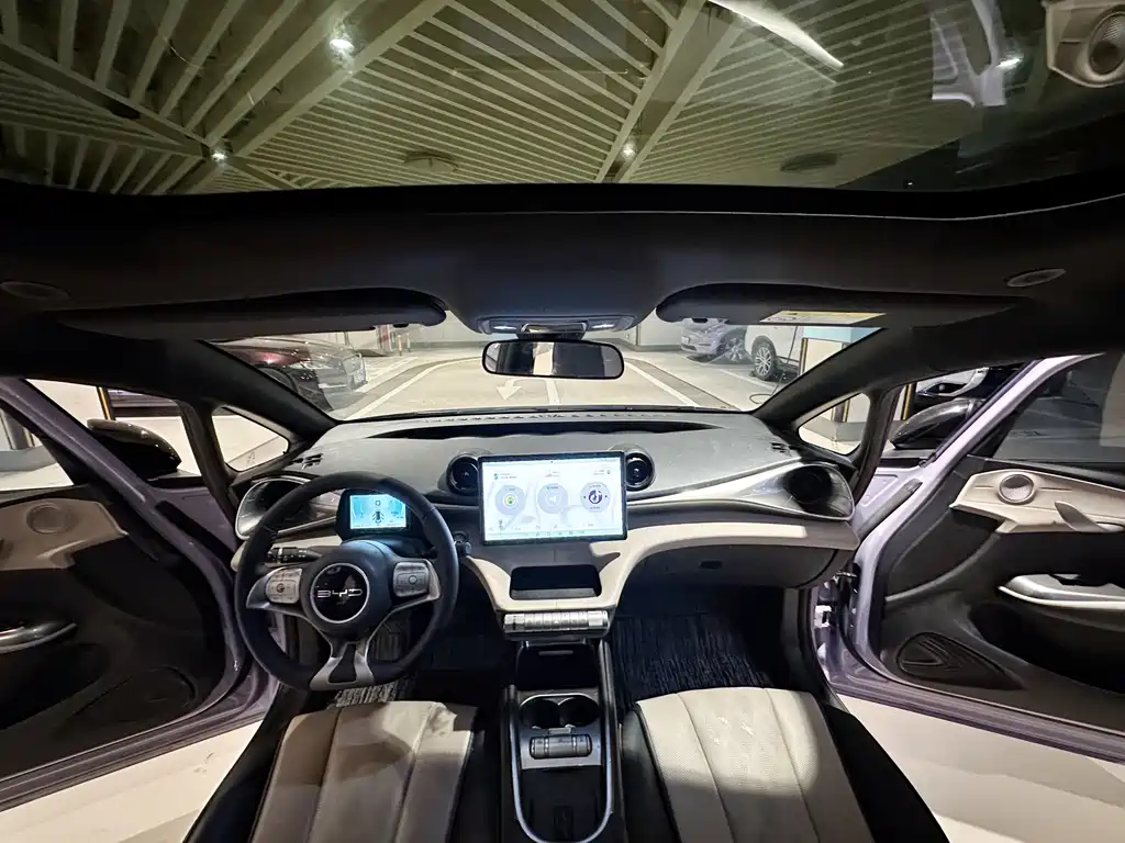 BYD Dolphin 2023 — фото 14